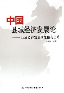 中国县域经济发展论