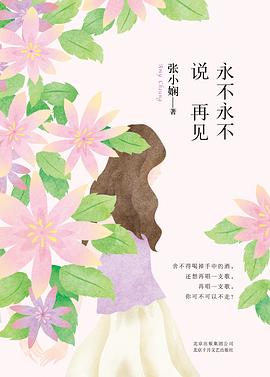 永不永不说再见 pdf epub mobi 电子书 下载