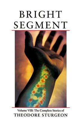 Bright Segment pdf epub mobi 电子书 下载