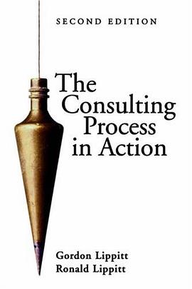 The Consulting Process in Action pdf epub mobi 电子书 下载