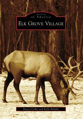 Elk Grove Village pdf epub mobi 电子书 下载
