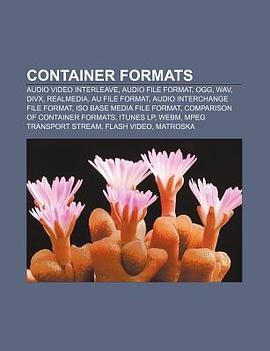 Container Formats pdf epub mobi 电子书 下载