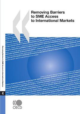 Removing Barriers to SME Access to International Markets pdf epub mobi 下载
