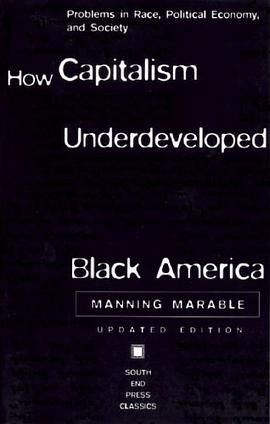 How Capitalism Underdeveloped Black America pdf epub mobi 电子书 下载