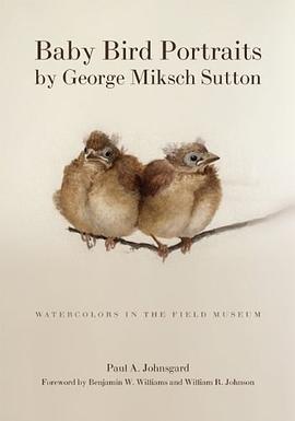 Baby Bird Portraits pdf epub mobi 电子书 下载