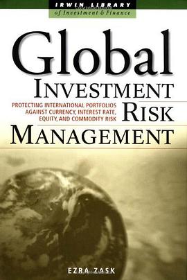 Global Investment Risk Management pdf epub mobi 下载