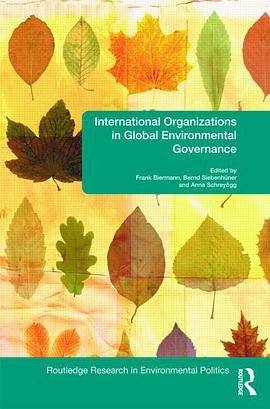 International Organizations in Global Environmental Governance pdf epub mobi 电子书 下载