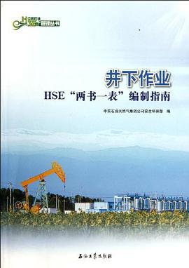 井下作業HSE“兩書一錶”編製指南 pdf epub mobi 電子書 下載