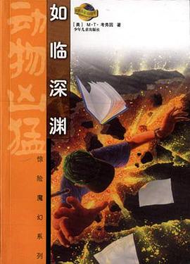 如临深渊 pdf epub mobi 电子书 下载
