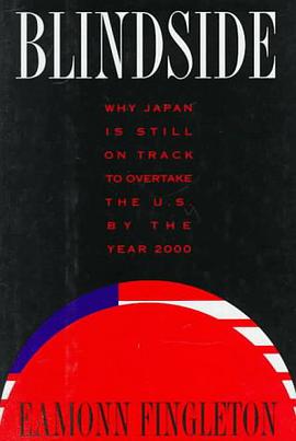 Blindside pdf epub mobi 电子书 下载