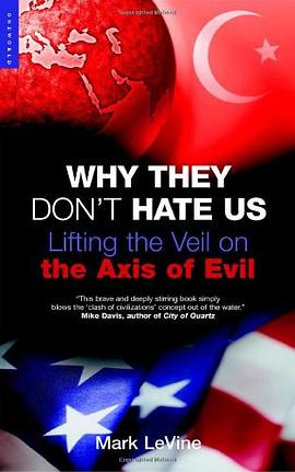 Why They Don't Hate Us pdf epub mobi 电子书 下载