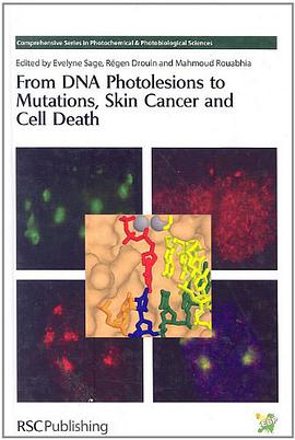 From DNA Photolesions to Mutations, Skin Cancer and Cell Death