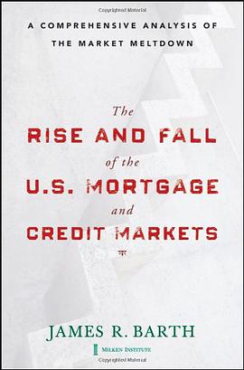 The Rise and Fall of the US Mortgage and Credit Markets pdf epub mobi 电子书 下载