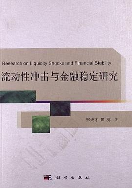 流動性衝擊與金融穩定研究 pdf epub mobi 電子書 下載
