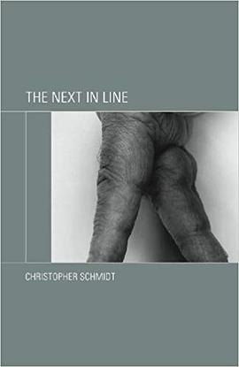 The Next in Line pdf epub mobi 电子书 下载