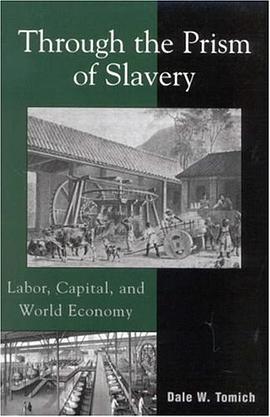 Through the Prism of Slavery pdf epub mobi 电子书 下载