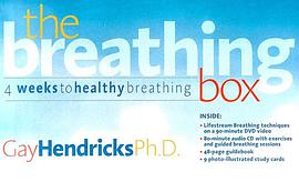 The Breathing Box pdf epub mobi 電子書 下載