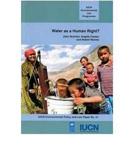Water as a Human Right? pdf epub mobi 电子书 下载