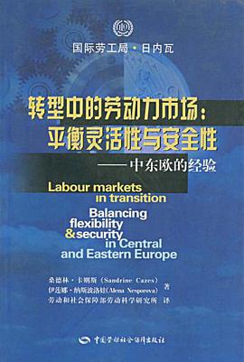 转型中的劳动力市场 pdf epub mobi 电子书 下载