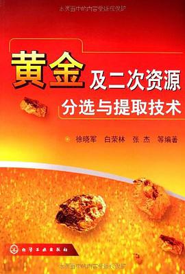黄金及二次资源分选与提取技术 pdf epub mobi 电子书 下载