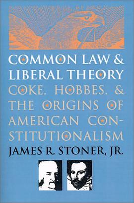 Common Law and Liberal Theory pdf epub mobi 电子书 下载