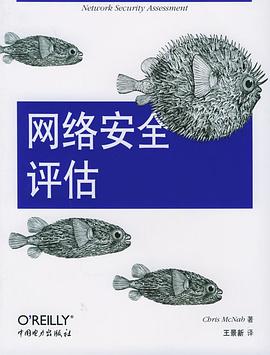 网络安全评估 pdf epub mobi 电子书 下载