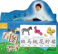 聪明娃看图识字 pdf epub mobi 电子书 下载