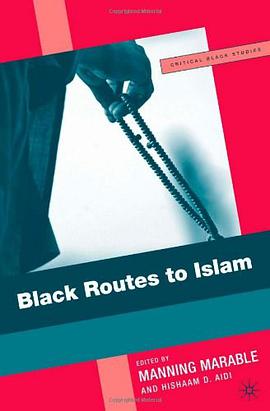 Black Routes to Islam pdf epub mobi 电子书 下载
