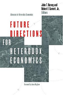 Future Directions for Heterodox Economics pdf epub mobi 电子书 下载