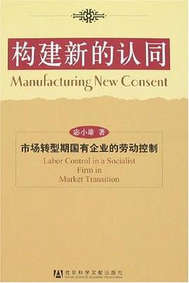 构建新的认同 pdf epub mobi 电子书 下载