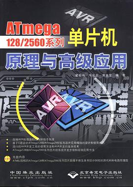 ATmega128/2560系列单片机原理与高级应用