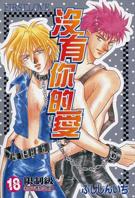 没有你的爱 pdf epub mobi 电子书 下载