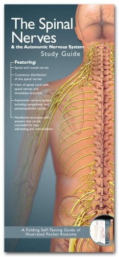 Anatomical Chart Company's Illustrated Pocket Anatomy pdf epub mobi 电子书 下载