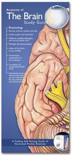 Anatomical Chart Company's Illustrated Pocket Anatomy pdf epub mobi 电子书 下载