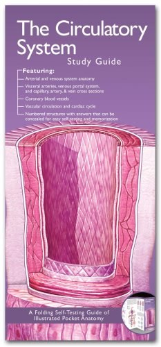 Anatomical Chart Company's Illustrated Pocket Anatomy pdf epub mobi 电子书 下载