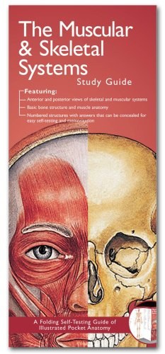 Anatomical Chart Company's Illustrated Pocket Anatomy pdf epub mobi 电子书 下载