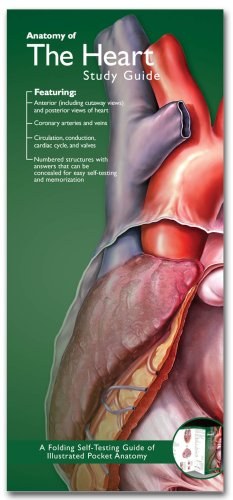 Anatomical Chart Company's Illustrated Pocket Anatomy pdf epub mobi 电子书 下载