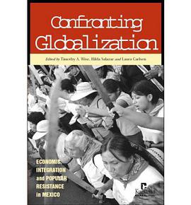 Confronting Globalization pdf epub mobi 電子書 下載