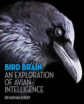 Bird Brain pdf epub mobi 电子书 下载
