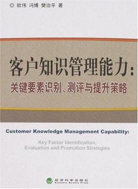 客户知识管理能力 pdf epub mobi 电子书 下载