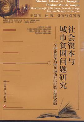 社会资本与城市贫困问题研究