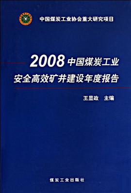 2008中国煤炭工业安全高效矿井建设年度报告 pdf epub mobi 电子书 下载