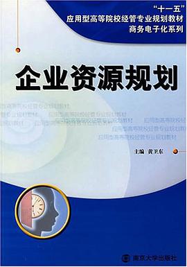 企业资源规划 pdf epub mobi 电子书 下载