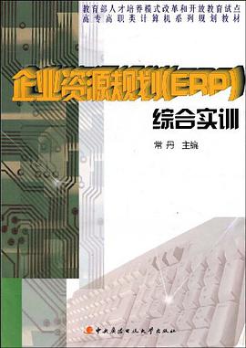 企业资源规划 pdf epub mobi 下载
