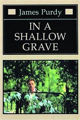 In a Shallow Grave pdf epub mobi 电子书 下载