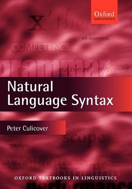 Natural Language Syntax pdf epub mobi 电子书 下载