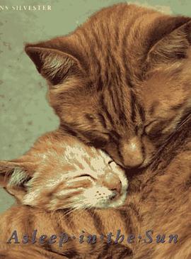 Asleep in the Sun pdf epub mobi 电子书 下载