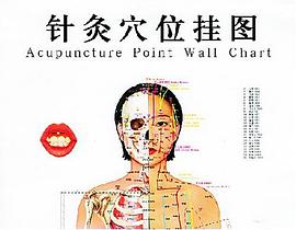 针灸穴位挂图 pdf epub mobi 电子书 下载