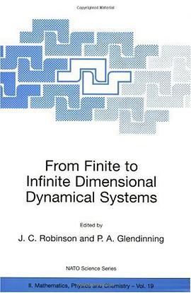 From Finite to Infinite Dimensional Dynamical Systems pdf epub mobi 电子书 下载