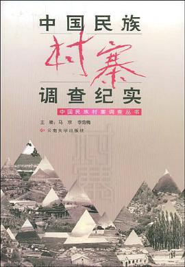 中国民族村寨调查纪实 pdf epub mobi 电子书 下载